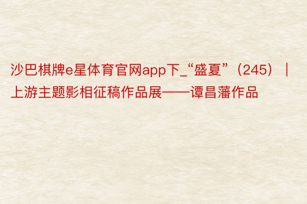 沙巴棋牌e星体育官网app下_“盛夏”（245） | 上游主题影相征稿作品展——谭昌藩作品