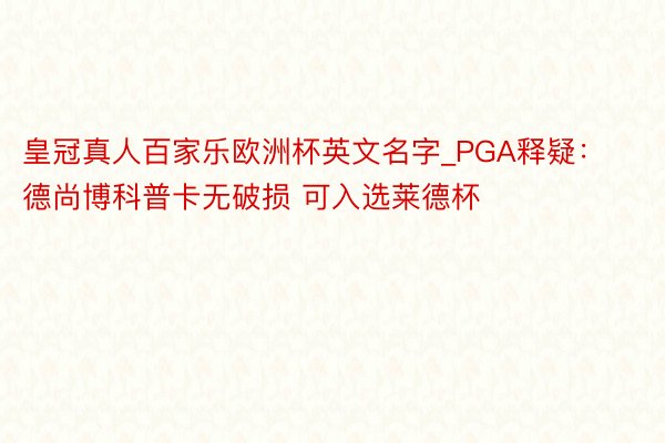 皇冠真人百家乐欧洲杯英文名字_PGA释疑：德尚博科普卡无破损 可入选莱德杯